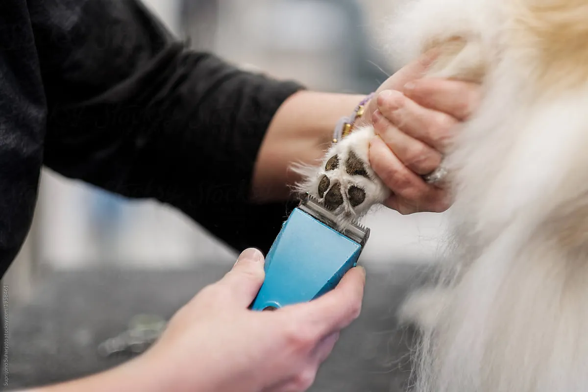 Grooming