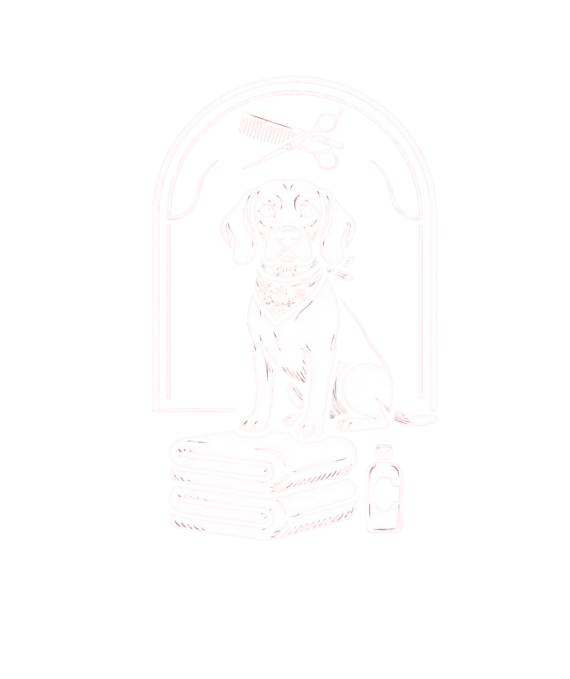 Medium Dog Grooming