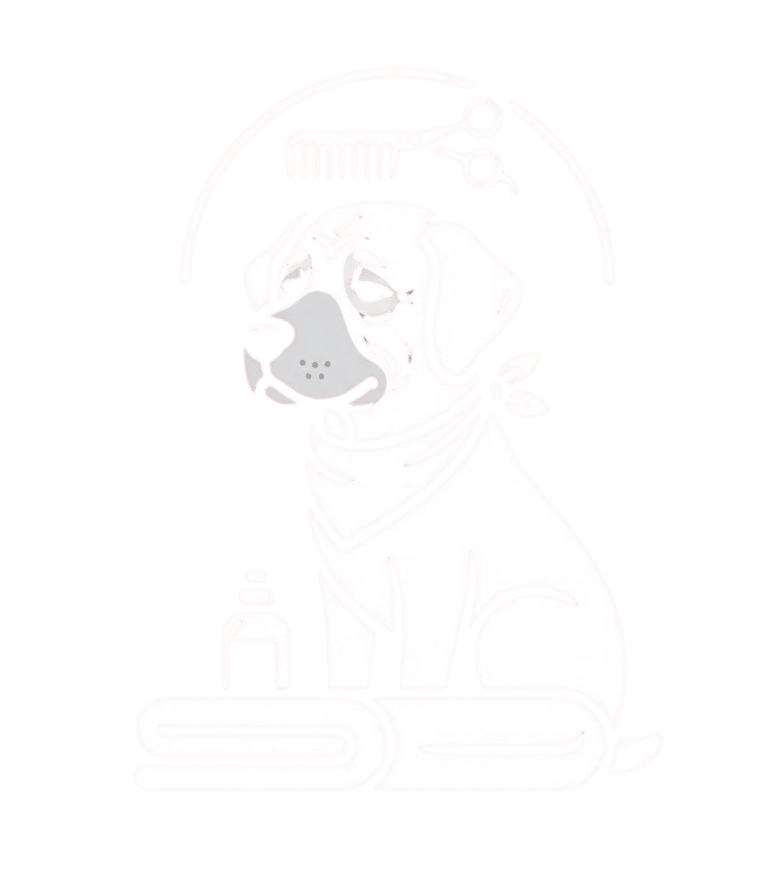 Senior Dog Grooming